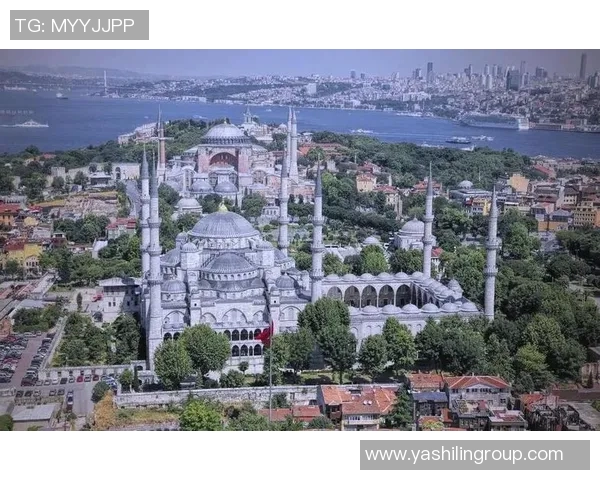 纽卡斯尔城市发展与文化融合：探索历史遗产与现代创新的交汇点